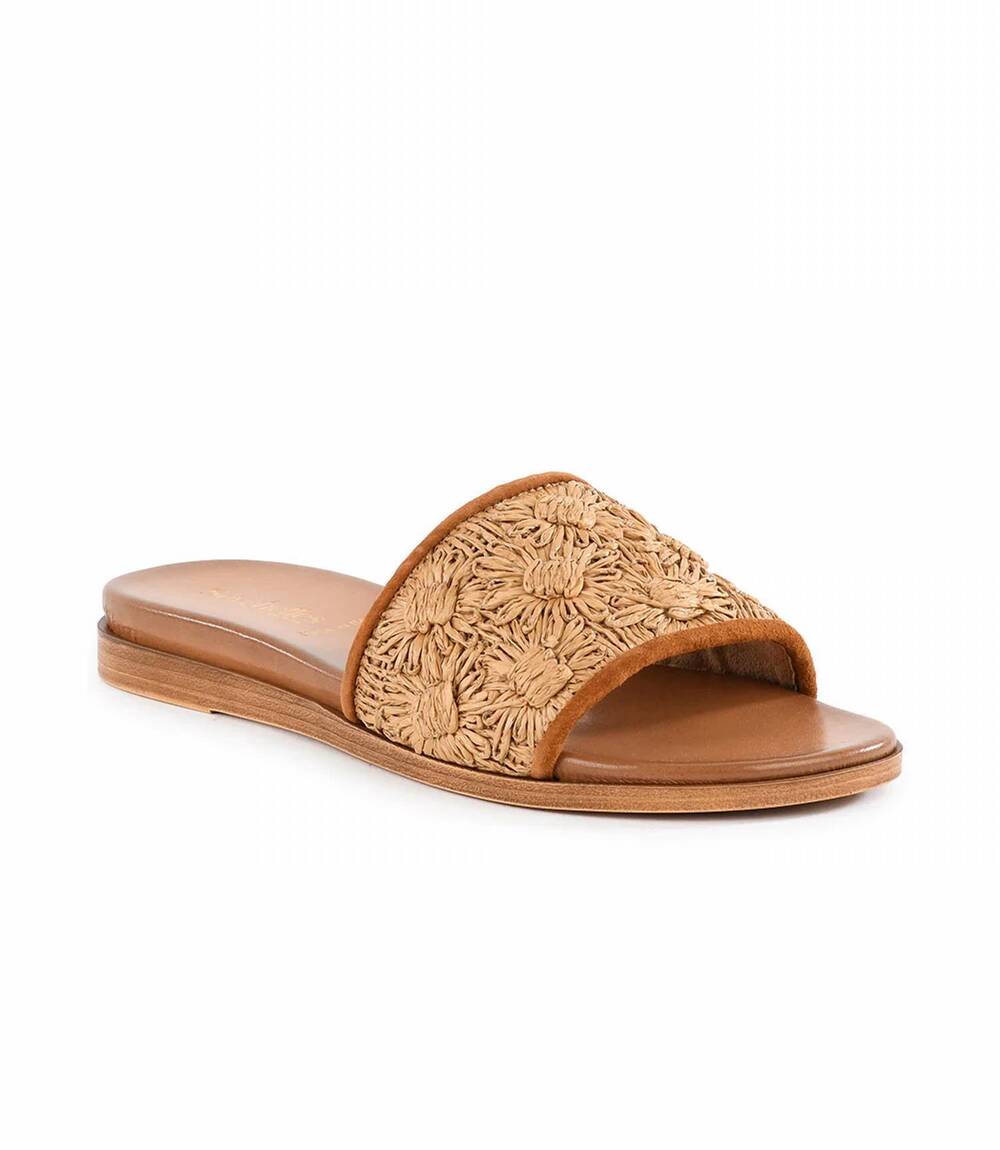 NEW SEYCHELLES women's dakota flower raffia slides in natural